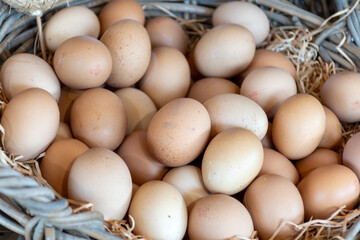 Organic brown chicken eggs from free-range farm in wicked basket