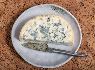 Cheese collection, piece of French blue cheese auvergne or fourme d'ambert close up
