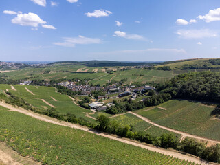 View on hilly Sancerre Chavignol appellation vineyards, Cher department, France, overlooking iver Loire valley, noted for its white Sancerre dry savignon blanc wine.