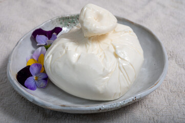 Fresh handmade soft Italian cheese from Puglia, white ball of burrata foglia saporosa or burratina cheese made from mozzarella and cream filling