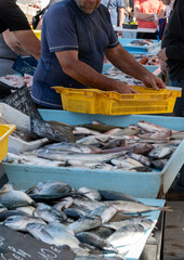 Catch of the day for sale on daily fish market in old port of Marseille, Provence, France. Fresh fish in assortment.