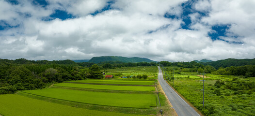 Empty open road by terraced rice fields and lush green countryside