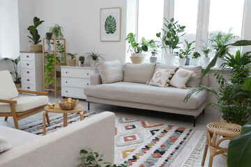 Stylish room with comfortable sofa, armchair and beautiful houseplants. Interior design