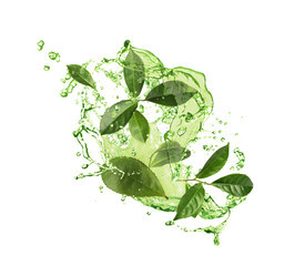 Splashes of refreshing drink with leaves on white background. Green or matcha tea