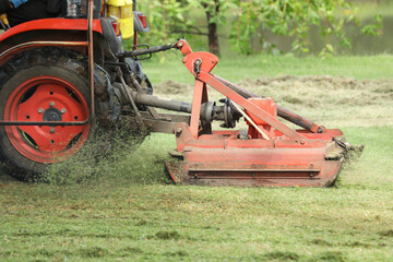 Lawn mower cutting lawn grass