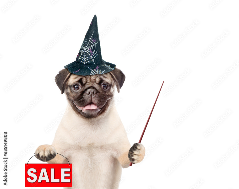 Poster pug puppy wearing hat for halloween shows signboard with labeled 