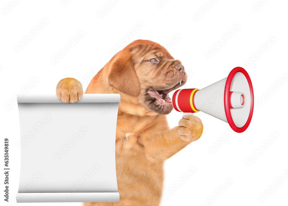 Poster Funny puppy screams into a megaphone shows empty list. isolated on white background