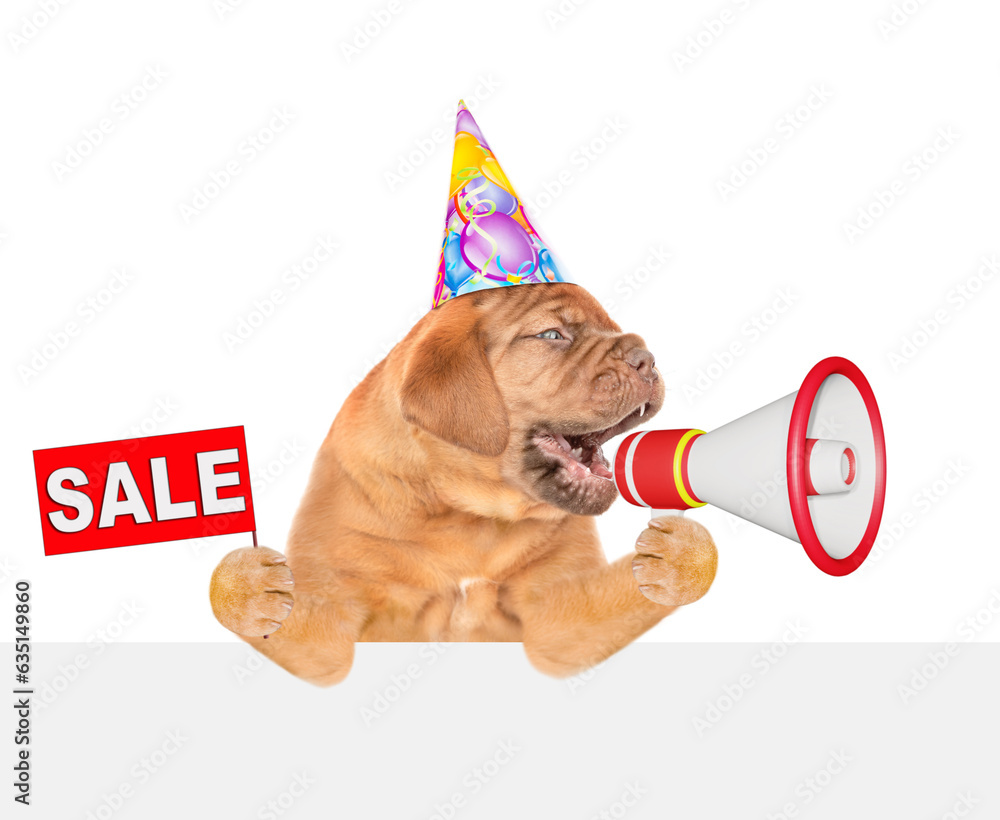 Poster funny mastiff puppy wearing party cap barks into megaphone above empty white banner and shows signbo