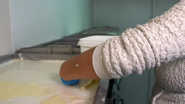 Hand of a Female Dairy Plant Worker Skimming The Cream Off Pasteurized Milk. Dairy Plant Worker On Cream (Clotted Cream) Separation Production Line. Dairy Products Manufacturing Plant.