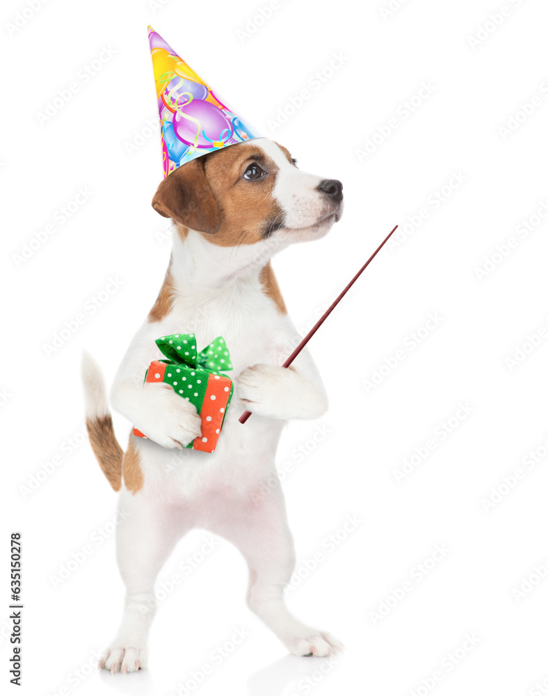 Poster funny jack russell terrier puppy wearing party cap holds gift box and points away on empty space. is