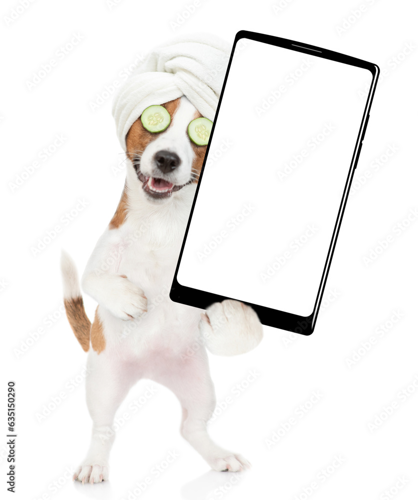 Poster funny jack russell terrier puppy with towel on it head and with pieces of cucumber on it eyes holds 