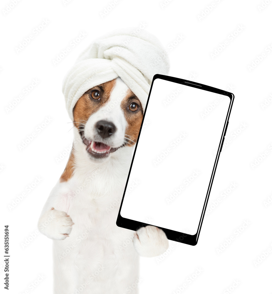 Poster funny jack russell terrier puppy with towel on it head holds big smartphone with white blank screen 