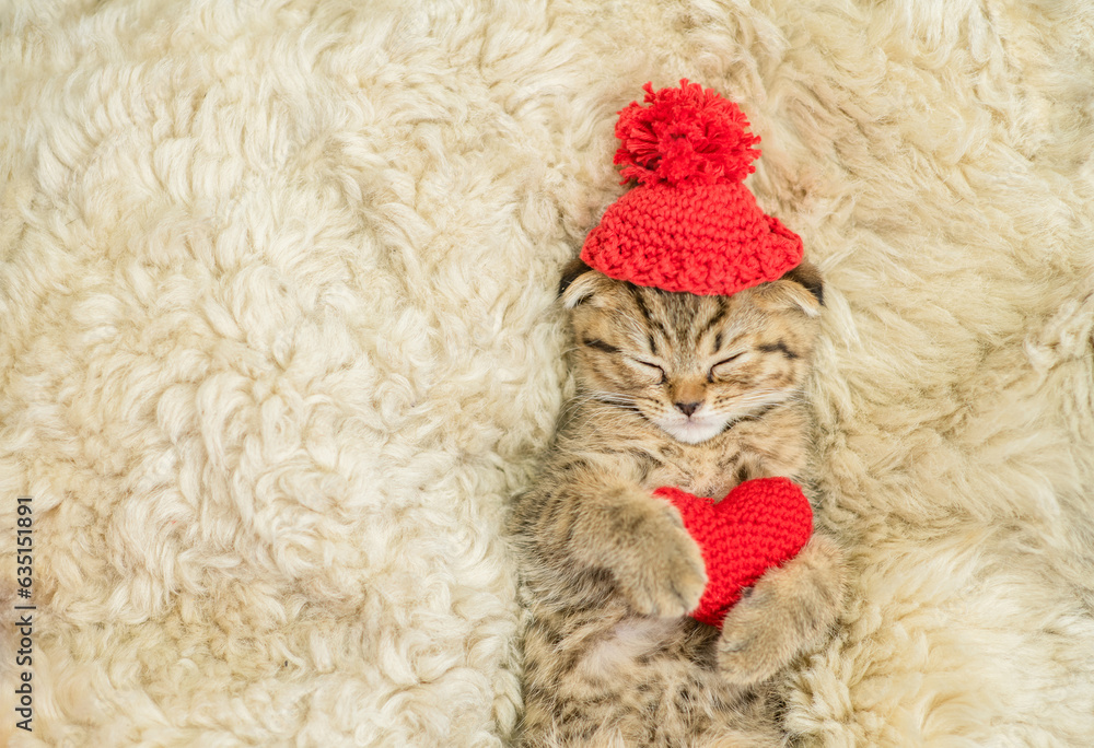 Aufkleber cute fold tabby kitten wearing warm hat hugs red heart on the bed at home. valentines day concept. t