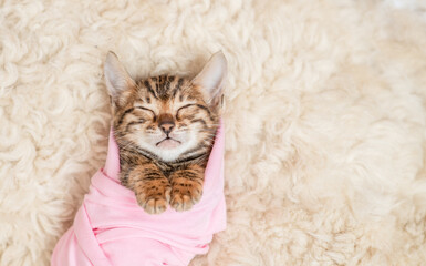 Tiny newborn bengal kitten wrapped like a baby sleeps on a fur bed. Top down view. Empty space for...