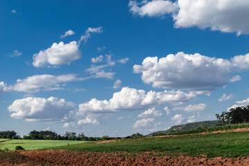 Fototapeta na wymiar Paisagem rural terra vermelha e floresta no horizonte céu azul com nuvens
