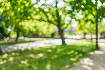 Blurred background of park © Krakenimages.com