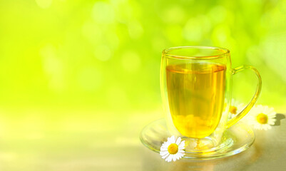 Herbal tea with chamomile flowers in a glass cup on  summer background with copy space.  Phyto tea from chamomile in summertime.