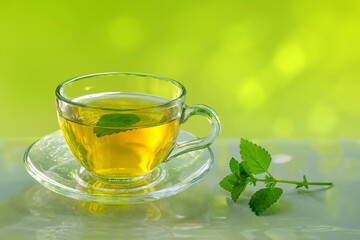 Green tea with mint leaves in a glass cup on green summer background.