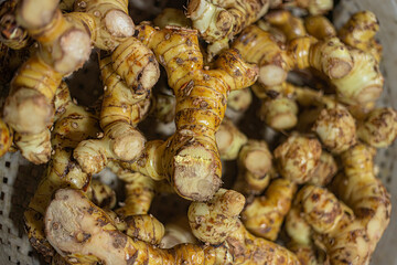 galangal