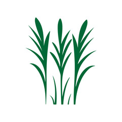 Fototapeta premium green grass illustration