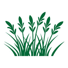 green grass illustration