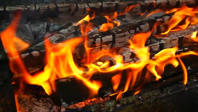 burning wood and paper. firewood is burning. tongues of flame. orange flame. bonfire. wood-fired cooking. firewood is burning for cooking barbecue