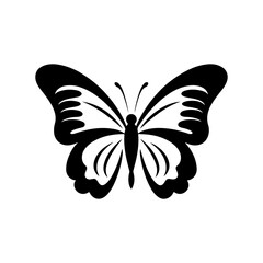 butterfly vector 