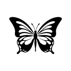 butterfly vector 