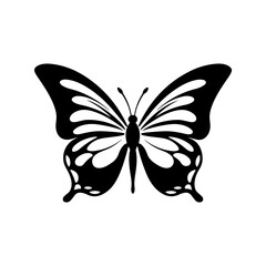 butterfly vector 