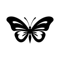 butterfly vector 