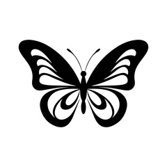 butterfly vector 