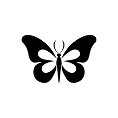 butterfly vector 