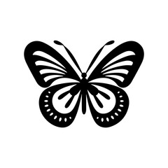butterfly vector 