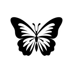 butterfly vector 