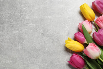 Beautiful colorful tulip flowers on grey table, flat lay. Space for text