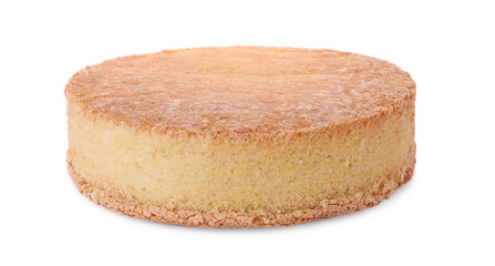 One tasty sponge cake isolated on white