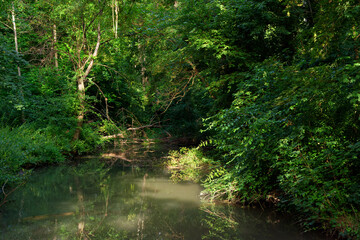Fototapeta na wymiar Orvanne river in Moret-Loing-et-Orvanne village.
