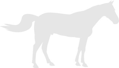 Fototapeta na wymiar Running Horse White Silhoutte