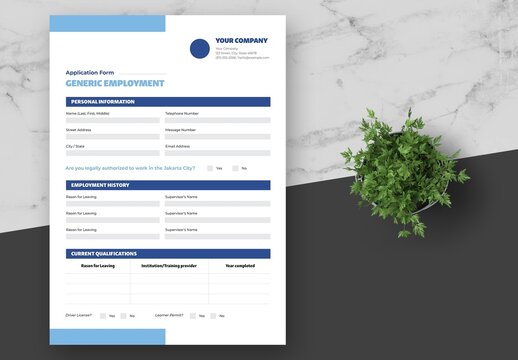 Blue Corporate Consultant Form