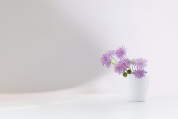 summer purple wild flowers in vase on white backgrround