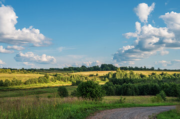 Air sunny summer landscape with large meadow, far forest under blue sky with white clouds. Natural summer background.