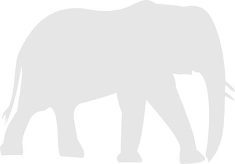 Elephant White Silhouette 
