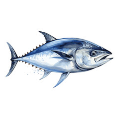 Vector illustration of bluefin tuna on white background