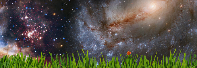 green grass with a ladybug sitting on a non-ladybug against the background of a starry cosmic sky