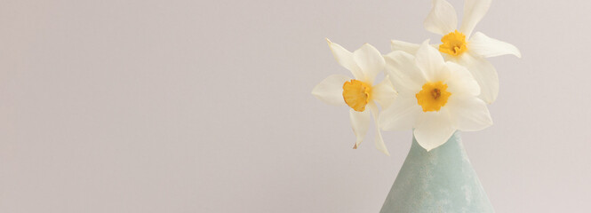Banner with bouquet of white daffodil flowers in front of gray background. Selective focus.
