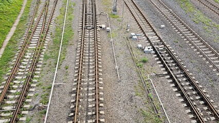 Naklejka premium railroad tracks in the forest