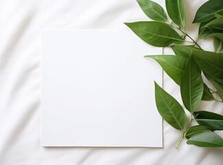 Empty paper with green leaves