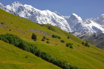 landscape of green grass and snowy mountains. Trekking and travel in Georgia