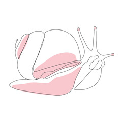 Snail line art vector. Snail continuous line drawing. Snail vector. Vector outline cute snail.