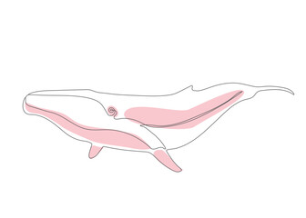 Vector line art blue whale. modern vector illustration of a whale. single-line blue whale.